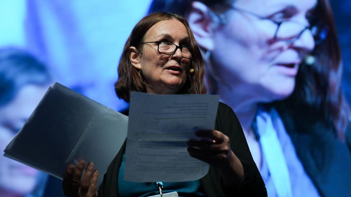 Mesa internacional, estatutos y ponencia federales y enmiendas